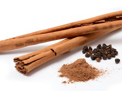 Cannelle (Cinnamomum verum)