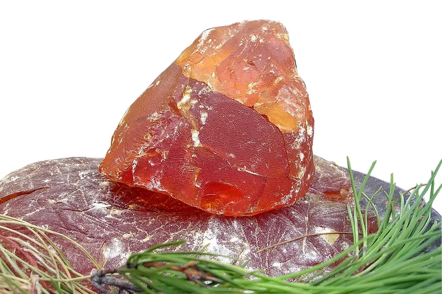 Colophane (Pinus spp.)