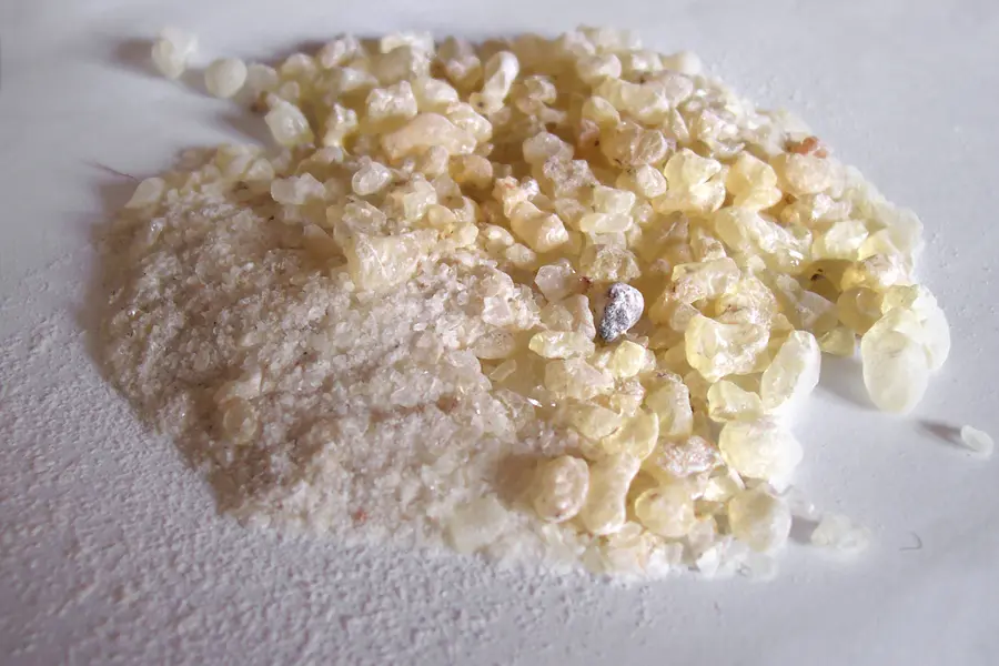Dammar (Shorea spp.)