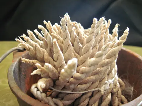 Encens tibétain (Mélange de plantes himalayennes)
