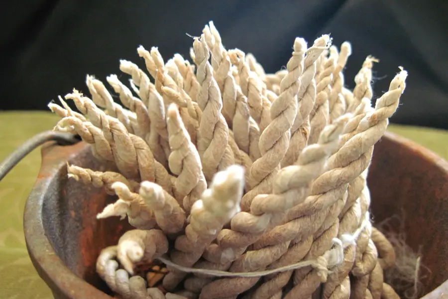 Encens tibétain (Mélange de plantes himalayennes)