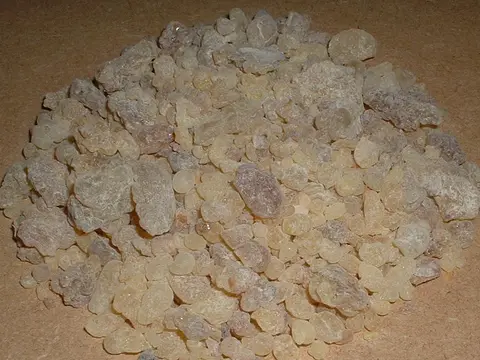 Larmes d'oliban, l'encens véritable, prêtes à brûler