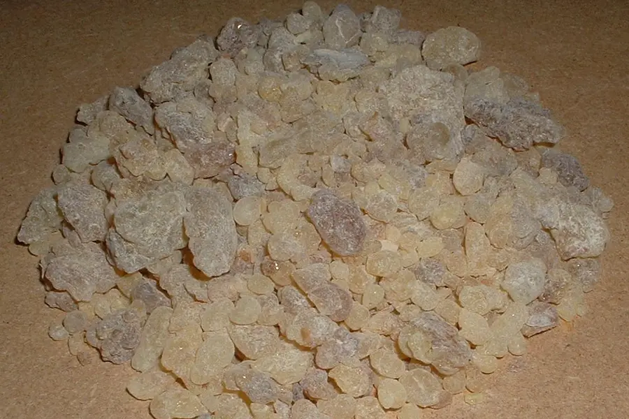 Larmes d'oliban, l'encens véritable, prêtes à brûler