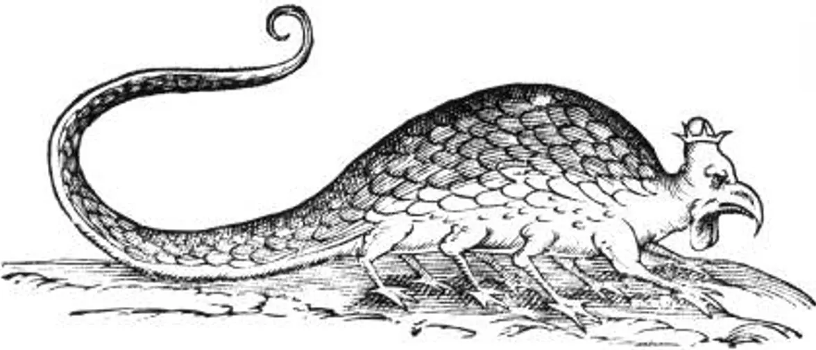 Gravure ancienne d'un basilic, créature serpentine coiffée d'une crête de coq