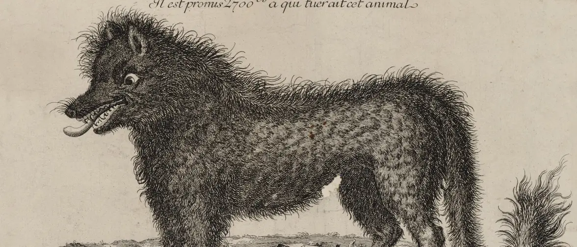 Gravure ancienne représentant la bête du Gévaudan attaquant une bergère