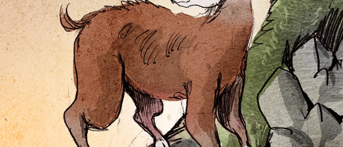 Illustration humoristique d'un dahu, animal imaginaire aux pattes plus courtes d'un côté
