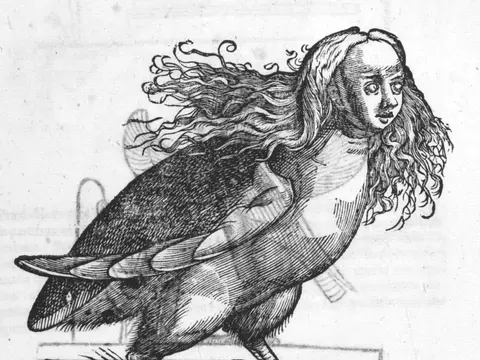 La harpie