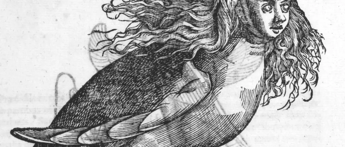 Gravure ancienne d'une harpie, créature ailée à visage de femme et serres d'oiseau