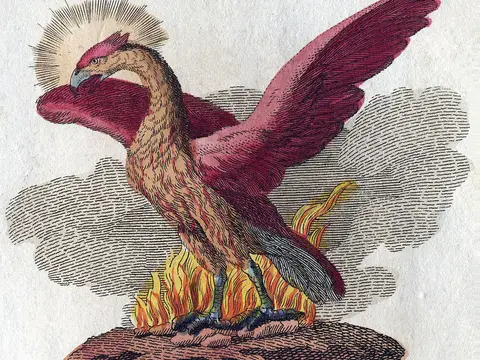 Le phénix