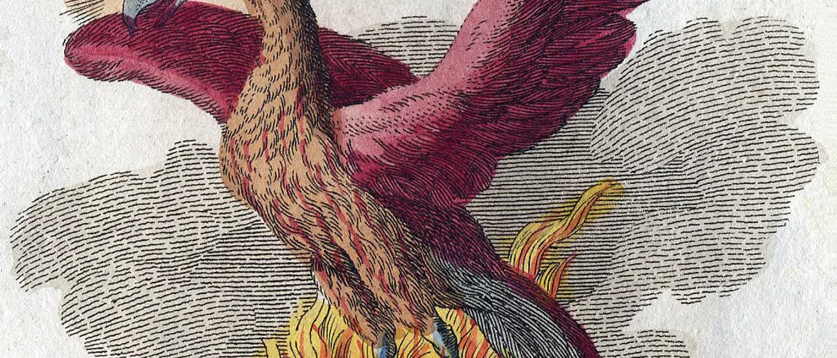 Gravure ancienne d'un phénix aux ailes déployées au-dessus de flammes