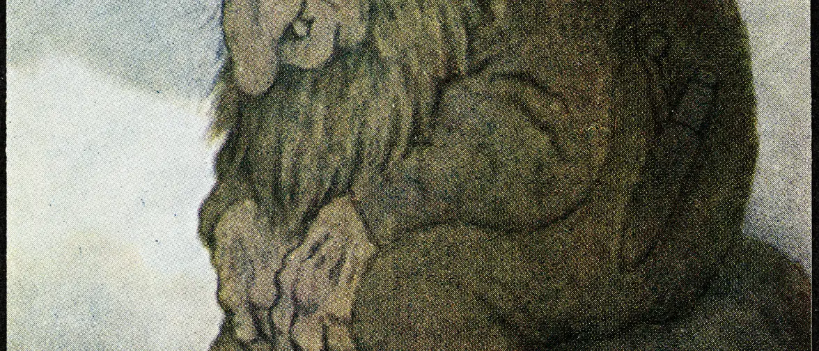 Illustration d'un troll, grande créature velue des montagnes du folklore nordique