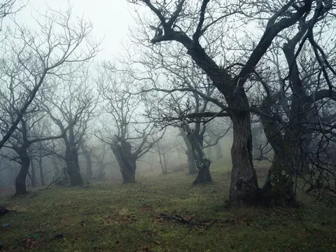 Le wendigo