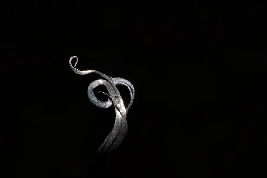 Argent natif, blanc métallique gris