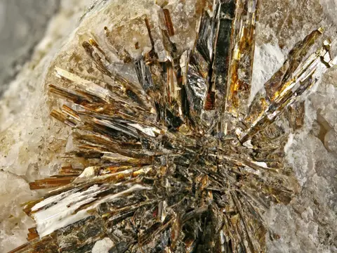 Astrophyllite