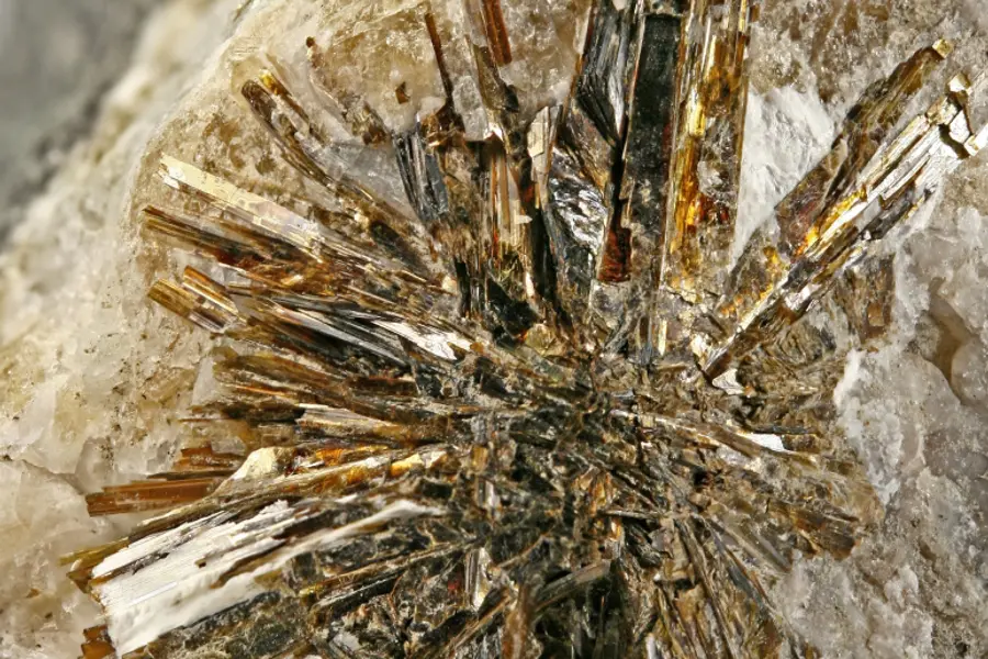 Astrophyllite, bronze doré noir