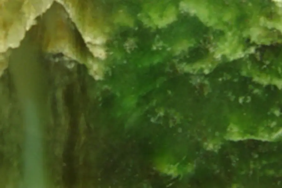 Bowénite, vert vert-jaune