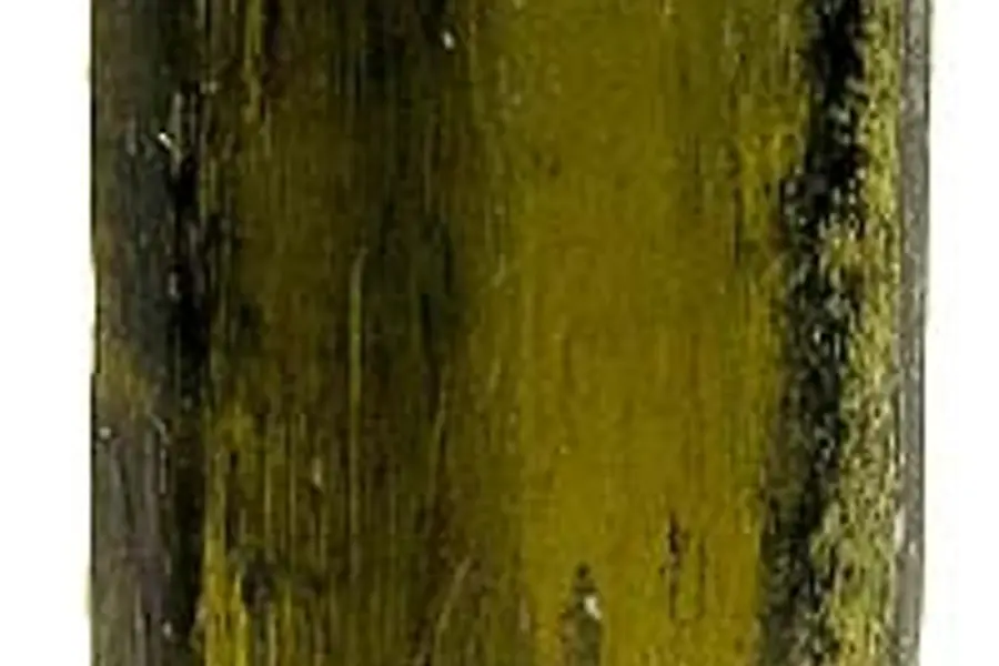 Bronzite, brun bronze doré sombre