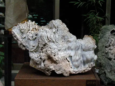 Calcédoine