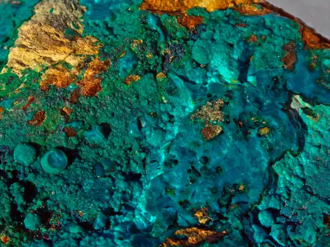 Chrysocolle