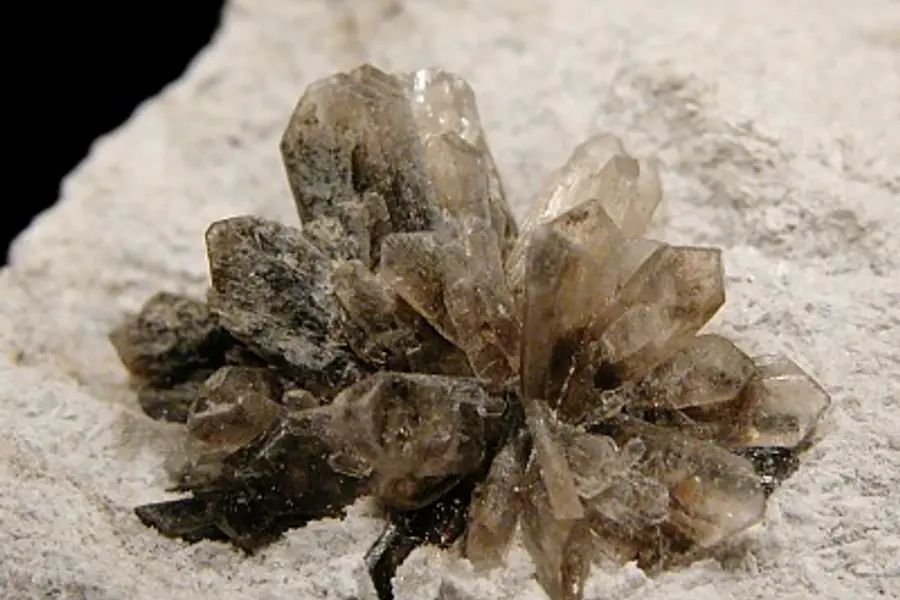 Howlite blanche veinée de gris