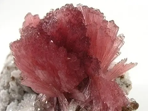 Inésite