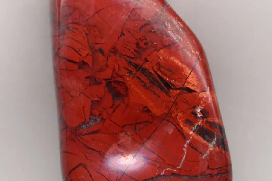 Jaspe océan, vert beige rose multicolore