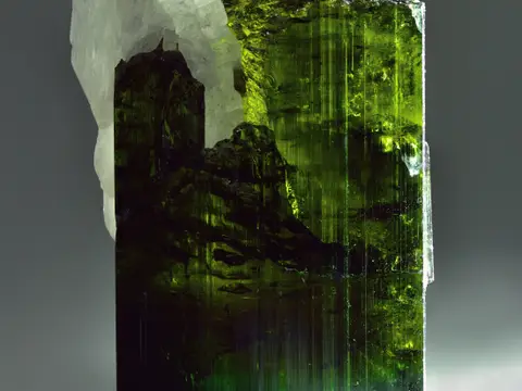 Liddicoatite