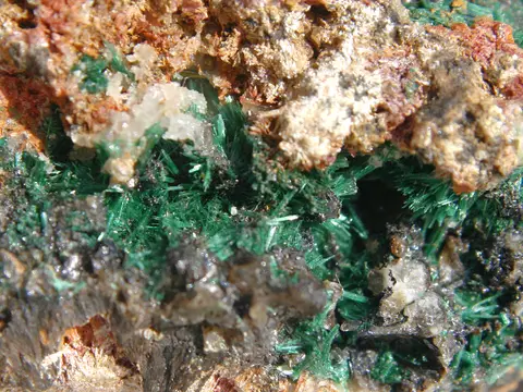 Malachite verte rubanée