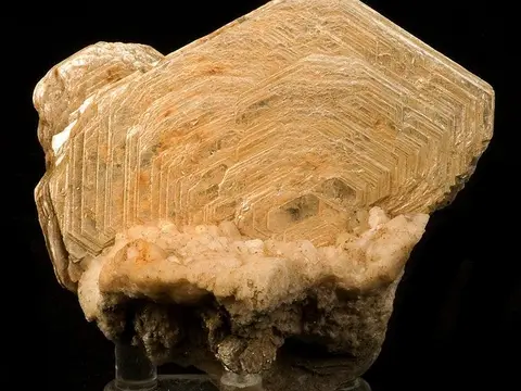 Muscovite