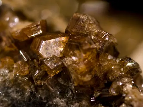 Phlogopite