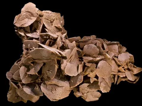 Rose des sables