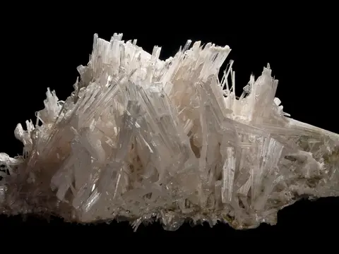 Scolécite