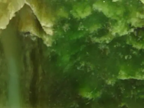 Serpentine