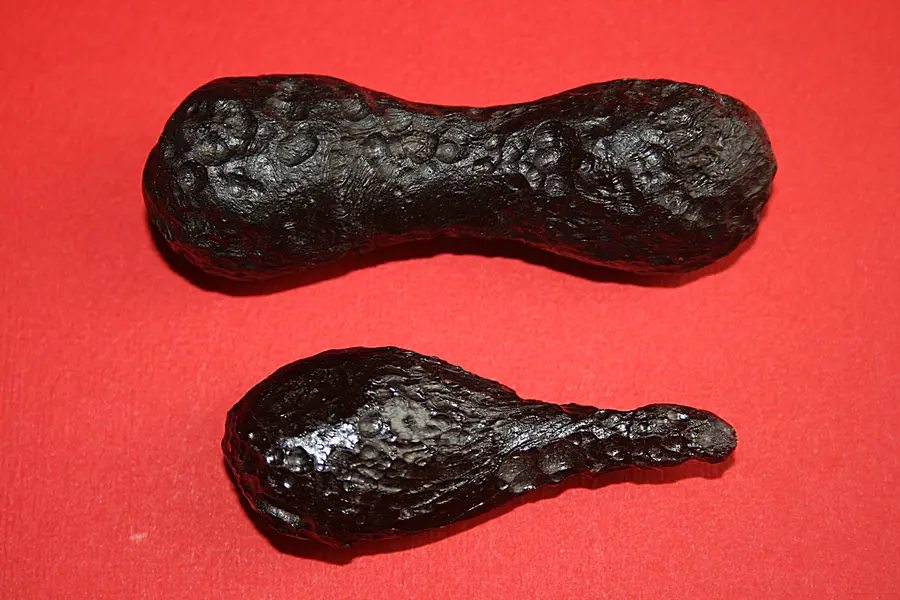 Tectite, noir brun vert sombre
