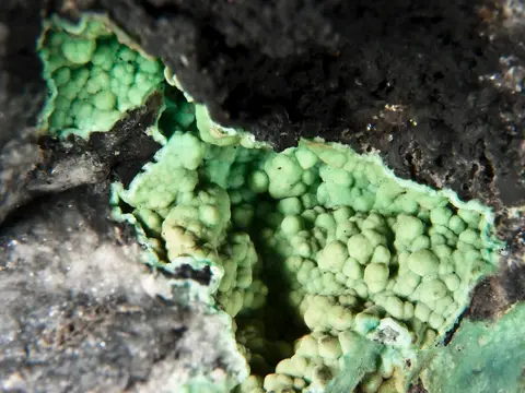 Variscite