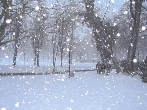 Rêver de neige