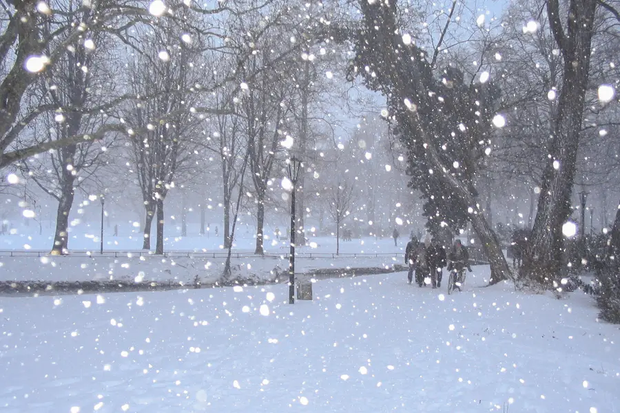 Rêver de neige
